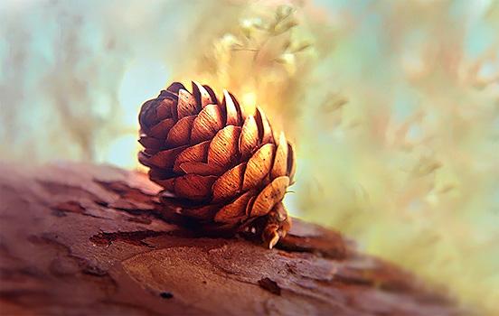 Sermon: Liberating gratitude