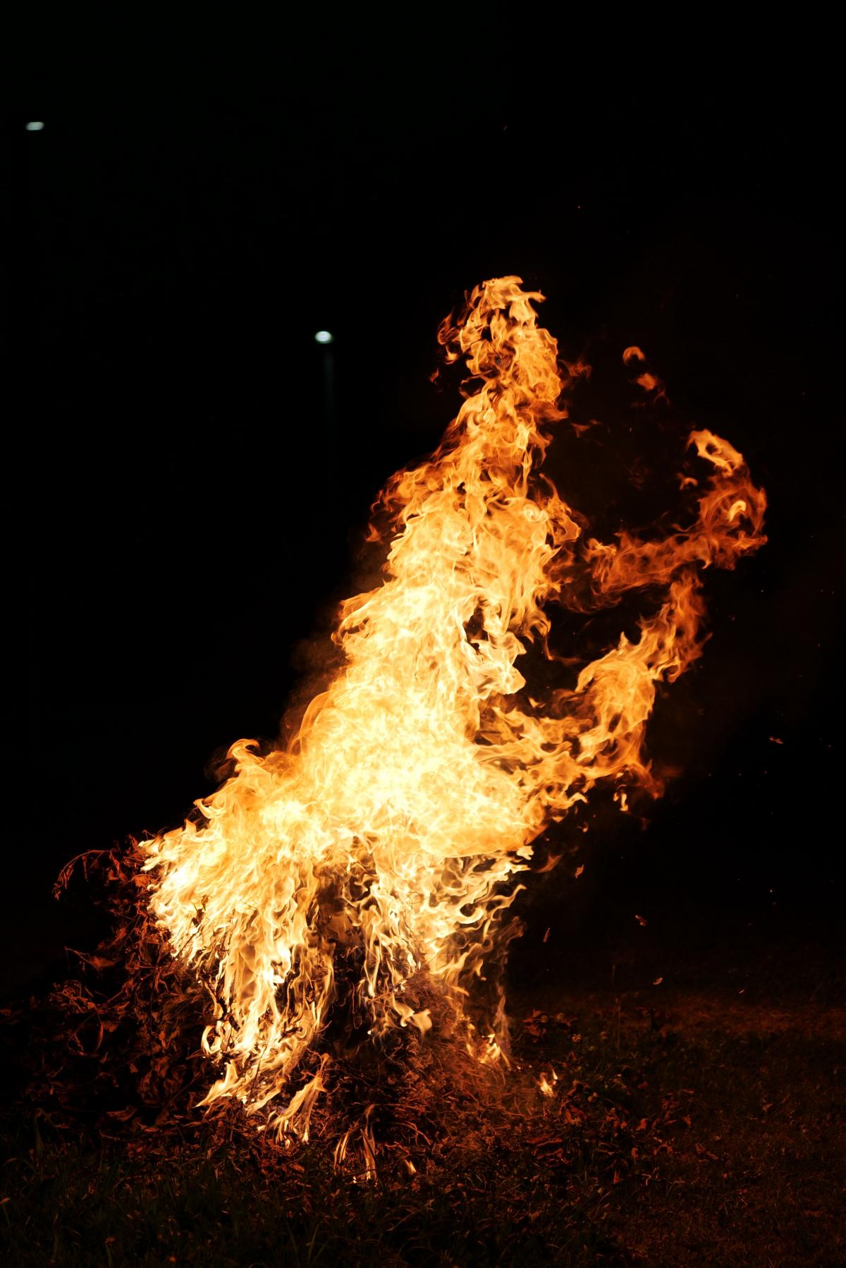 Sermon: The Burning Bush