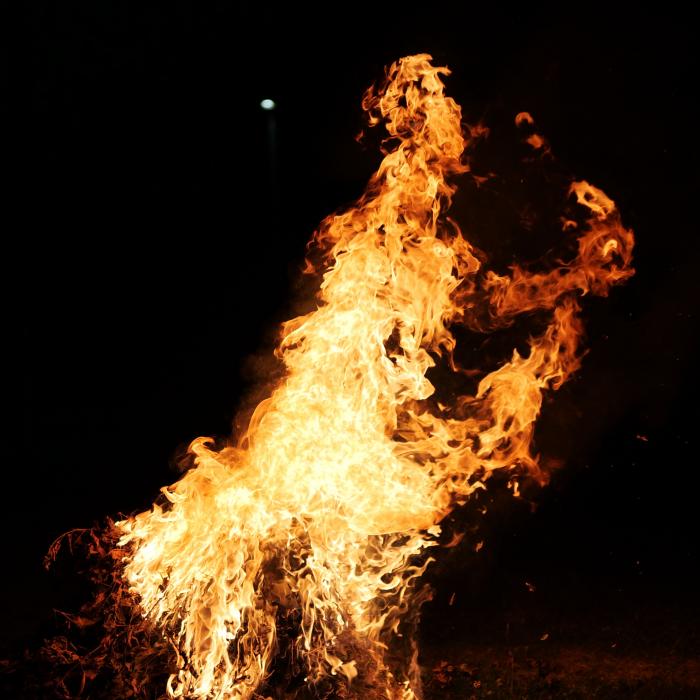Sermon: The Burning Bush