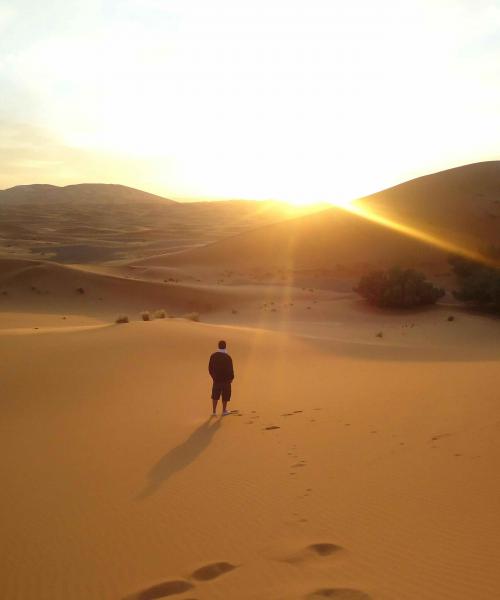 Sermon: John the Baptist