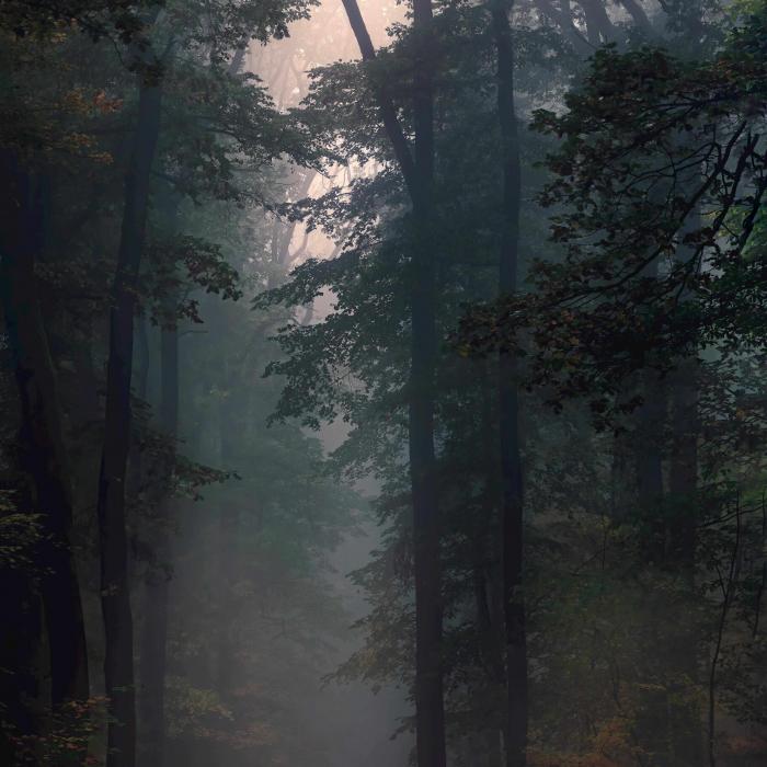 Sermon: Magi: Another Road