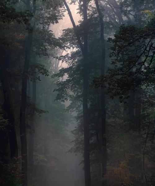 Sermon: Magi: Another Road