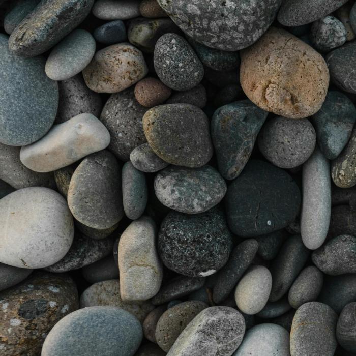 Sermon: Living Stones