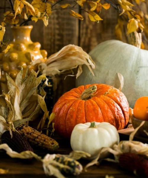 Sermon: Gratitude that Heals