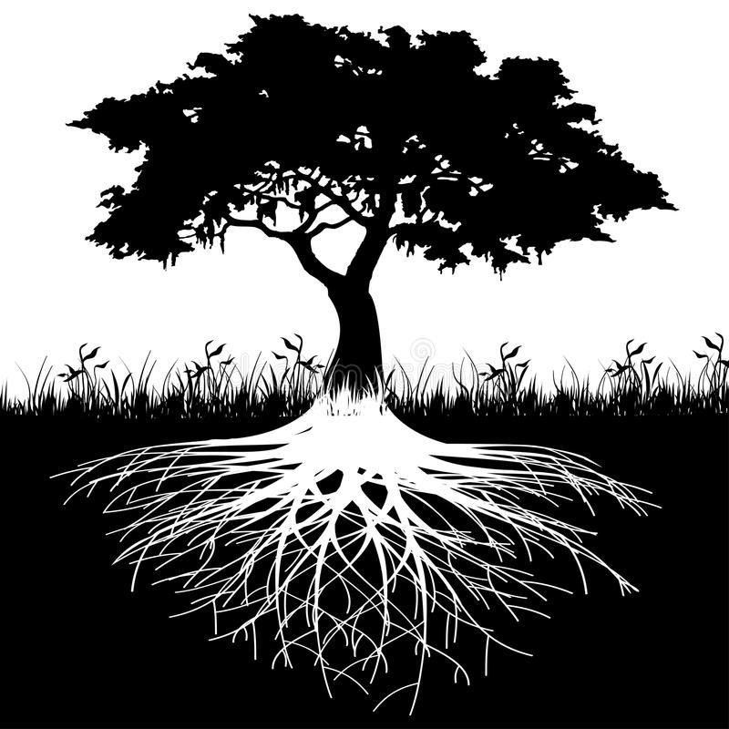 Sermon: Crime & Punishment